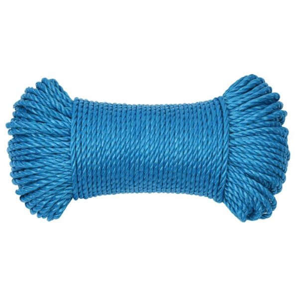 vidaXL Pracovné lano modré 3 mm 25 m polypropylén – Obrázok 3