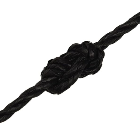 vidaXL Pracovné lano čierne 8 mm 250 m polypropylén – Obrázok 5