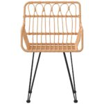 vidaXL Záhradné stoličky 2 ks s opierkami rúk 56x64x80 cm PE Rattan – Obrázok 4