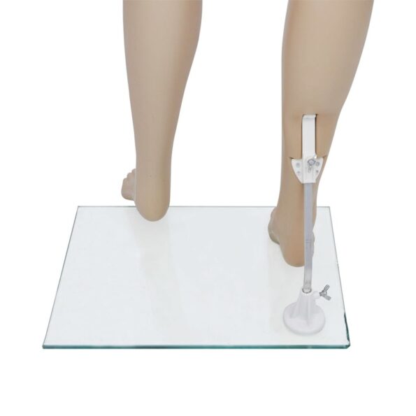 vidaXL Dámska figurína typ A – Obrázok 9