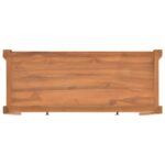 vidaXL TV skrinka 100x40x45 cm, tíkové drevo – Obrázok 6