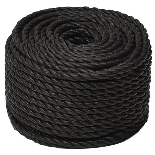 vidaXL Pracovné lano čierne 12 mm 50 m polypropylén – Obrázok 2