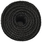 vidaXL Pracovné lano čierne 12 mm 50 m polypropylén – Obrázok 3