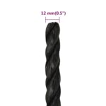 vidaXL Pracovné lano čierne 12 mm 50 m polypropylén – Obrázok 6