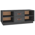 vidaXL TV skrinka sivá 100x34x40 cm borovicový masív – Obrázok 2