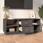 vidaXL TV skrinka sivá 100x34x40 cm borovicový masív – Obrázok 3