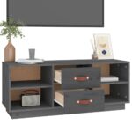 vidaXL TV skrinka sivá 100x34x40 cm borovicový masív – Obrázok 5