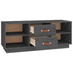 vidaXL TV skrinka sivá 100x34x40 cm borovicový masív – Obrázok 7