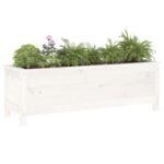 vidaXL Záhradný vyvýšený záhon biely 119,5x40x39 cm masívna borovica – Obrázok 3