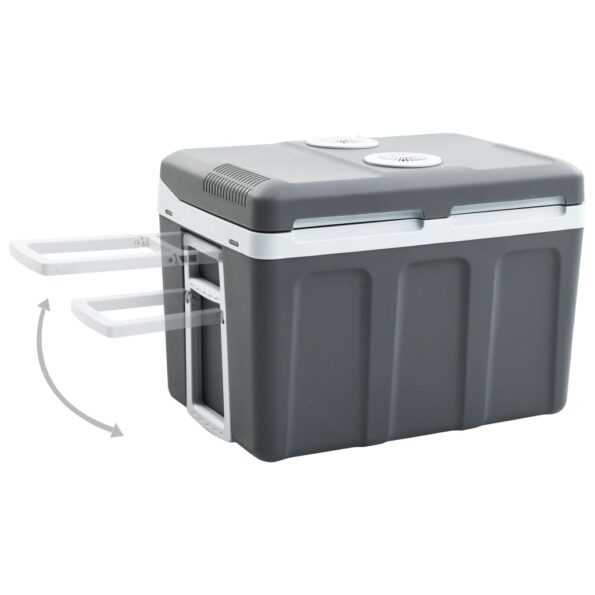 vidaXL Prenosný termoelektrický chladiaci box 40 l 12 V 230 V E – Obrázok 4