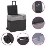 vidaXL Chladiaci box s kolieskom a adaptérom čierno-sivý 40 l PP – Obrázok 9