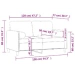 vidaXL 2-miestna pohovka s vankúšmi svetlosivá 120 cm zamat – Obrázok 8