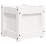 vidaXL Záhradný kvetináč biely 31x31x31 cm masívna borovica – Obrázok 7