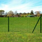 vidaXL Euro plot, oceľ 25x0,8 m, zelený