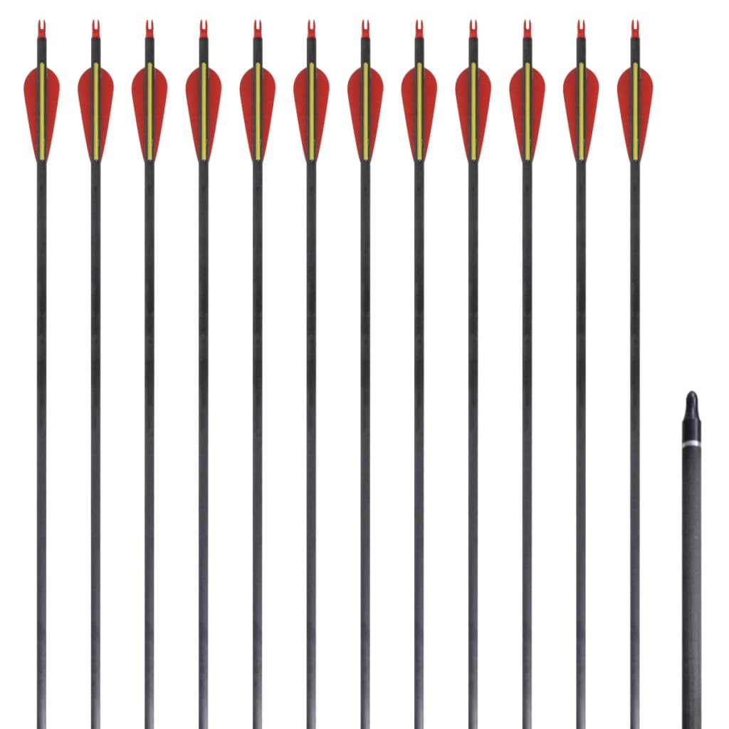 VXL8718475923336_a_en_hd_1.jpg Štandardné šípy na reflexný luk 30" 0,6 cm, karbón 12 ks – Obrázok 1
