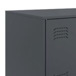 vidaXL Komoda antracitová 67x39x73 cm oceľová – Obrázok 10