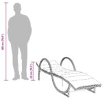 vidaXL Záhradné ležadlo s vankúšom sivé 60x199x42 cm polyratan – Obrázok 9