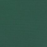 vidaXL Zaťahovacia bočná markíza, tmavozelená 120x600 cm – Obrázok 9