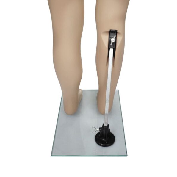 vidaXL Detská figurína typ A – Obrázok 9