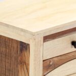 vidaXL TV skrinka 120x30x40 cm, recyklovaný masív – Obrázok 2