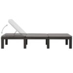 vidaXL Záhradné ležadlo s podložkou plastové antracitové – Obrázok 5