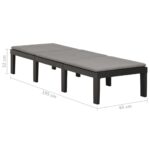 vidaXL Záhradné ležadlo s podložkou plastové antracitové – Obrázok 9