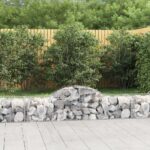 vidaXL Oblúkový gabionový kôš 11 ks 200x50x40/60 cm pozinkované železo