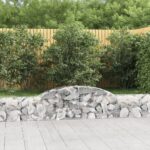 vidaXL Oblúkový gabiónový kôš 2 ks 300x30x40/60 cm pozinkované železo