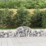 vidaXL Oblúkový gabionový kôš 200x50x40/60 cm pozinkované železo