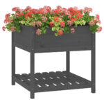 vidaXL Kvetináč s policou sivý 82,5x82,5x81 cm masívna borovica – Obrázok 4