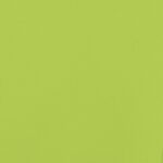 vidaXL Príves na bicykel pre psa zeleno čierny látka oxford a železo – Obrázok 8