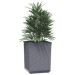 vidaXL Kvetináče 2 ks modrosivé 30x30x37 cm polypropylén – Obrázok 3