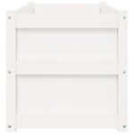 vidaXL Záhradné kvetináče 2 ks biele borovicový masív – Obrázok 7