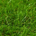 vidaXL Umelý trávnik 1x15 m/40 mm zelený – Obrázok 2