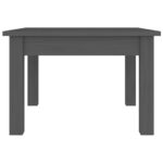 vidaXL Konferenčný stolík sivý 45x45x30 cm borovicový masív – Obrázok 3