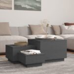 VidaXL Úložné boxy s vekom 3 ks sivé masívna borovica