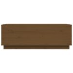 vidaXL Konferenčný stolík medovo-hnedý 100x50x35 cm borovicový masív – Obrázok 6