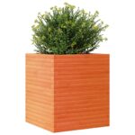 vidaXL Záhradný kvetináč voskovohnedý 60x60x68,5 cm masívna borovica – Obrázok 4