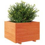 vidaXL Záhradný kvetináč voskovohnedý 70x70x49,5 cm masívna borovica – Obrázok 4
