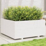 vidaXL Záhradný kvetináč biely 100x100x49,5 cm borovicový masív