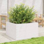 vidaXL Záhradný kvetináč biely 80x80x46 cm borovicový masív – Obrázok 3