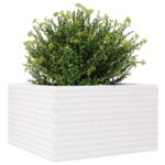 vidaXL Záhradný kvetináč biely 80x80x46 cm borovicový masív – Obrázok 4