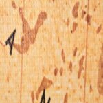 vidaXL Skladací paraván 160x170 cm, potlač mapy sveta, žltý – Obrázok 2