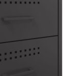 vidaXL Nočný stolík čierny 36x39x68 cm oceľ valcovaná za studena – Obrázok 11