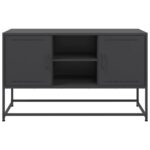 vidaXL TV skrinka čierna 100,5x39x60,5 cm oceľ – Obrázok 6