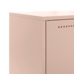vidaXL TV skrinka biela 100,5x39x60,5 cm oceľ – Obrázok 10