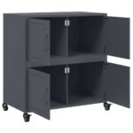 vidaXL Komoda antracitová 68,5x39x72 cm oceľ valcovaná za studena – Obrázok 9