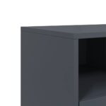 vidaXL TV skrinka antracitová 68x39x43,5 cm oceľ valcovaná za studena – Obrázok 10