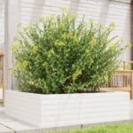 vidaXL Záhradný kvetináč biely 80x80x23 cm borovicový masív