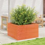 vidaXL Záhradný kvetináč voskovohnedý 80x80x45,5 cm masívna borovica – Obrázok 3